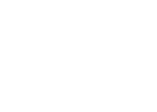 MGI International, LLC